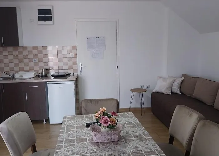 Orhideja Smestaj Sokobanja Lepterija